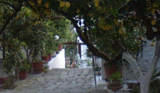 Appartamento Lemon House Kokkari Esterno foto