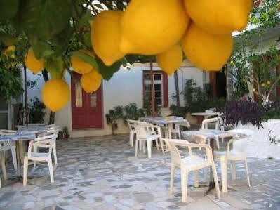 Appartamento Lemon House Kokkari Esterno foto